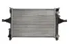 Радиатор Thermotec (D7V006TT) изображение 1