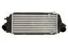 Інтеркулер HYUNDAI I40 I, I40 I CW KIA OPTIMA 1.7D 07.11-05.19 Thermotec (DA05009TT) зображення 1