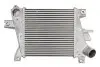 Фото Інтеркулер NISSAN X-TRAIL I 2.2D 06.01-01.13 Thermotec (DA1011TT) зображення 1