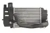 Інтеркулер SUBARU TREZIA TOYOTA URBAN CRUISER, VERSO S, YARIS 1.4D 08.05 Thermotec (DA2002TT) зображення 1