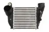 Фото Інтеркулер AUDI A3 SEAT LEON, TOLEDO II SKODA OCTAVIA I VW BORA, BORA I, GOLF IV 1.6/1.8/1.9D 09.96-12.10 Thermotec (DAA008TT) зображення 1