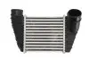 Інтеркулер (права сторона) AUDI A3, TT SEAT LEON 1.8 10.98-06.06 Thermotec (DAA017TT) зображення 1