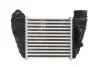 Інтеркулер (права сторона) AUDI A3, TT SEAT LEON 1.8 10.98-06.06 Thermotec (DAA017TT) зображення 2