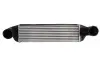 Інтеркулер BMW X3 (E83) 2.0D/3.0D 09.05-12.11 Thermotec (DAB016TT) зображення 1