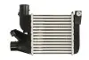 Фото Інтеркулер BMW 5 (E39), 7 (E38) 2.5D 01.96-05.04 Thermotec (DAB021TT) зображення 1