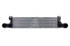 Інтеркулер BMW 3 (E36) 2.5D 05.93-04.99 Thermotec (DAB023TT) зображення 1