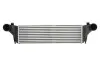Інтеркулер BMW X5 (E53) 3.0D 04.01-09.06 Thermotec (DAB025TT) зображення 1