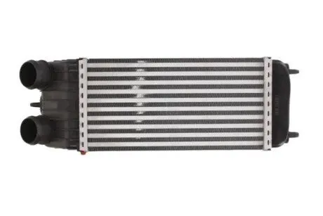 Інтеркулер CITROEN C2, C3 I, C3 II, C3 PICASSO PEUGEOT 1007, 207 1.6D 09.05 Thermotec DAC003TT