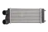 Інтеркулер CITROEN C4, C4 GRAND PICASSO I, C4 I, C4 PICASSO I PEUGEOT 307 1.6/1.6D 11.03-08.13 Thermotec (DAC004TT) зображення 1