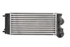 Інтеркулер DS DS 4, DS 5 CITROEN BERLINGO, BERLINGO MULTISPACE, C4 II, C4 PICASSO I, DS4, DS5 PEUGEOT 3008 I, 308, 308 I, 5008, 5008 I, PARTNER, PARTNER TEPEE 1.2/1.6D 04.08 Thermotec (DAC012TT) зображення 2