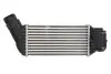 Інтеркулер DS DS 4, DS 5 CITROEN C4 AIRCROSS, C4 GRAND PICASSO I, C4 II, C4 PICASSO I, DS4, DS5 PEUGEOT 3008 I, 5008 1.8D/2.0D 06.09 Thermotec (DAC017TT) зображення 1