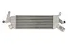 Інтеркулер CITROEN C-CROSSER, C-CROSSER ENTERPRISE MITSUBISHI OUTLANDER II PEUGEOT 4007 2.2D 11.06 Thermotec (DAC022TT) зображення 1