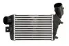Інтеркулер ALFA ROMEO 147, GT 1.9D/2.0 10.00-09.10 Thermotec (DAD003TT) зображення 1