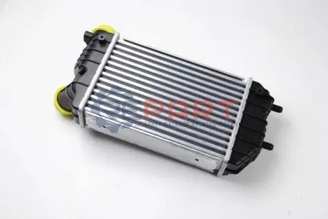 Інтеркулер THERMOTEC DAF001TT Купити в Україні