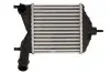 Інтеркулер FIAT IDEA, PUNTO LANCIA MUSA, YPSILON 1.3D 06.03 Thermotec (DAF014TT) зображення 1