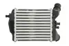 Інтеркулер Thermotec (DAF018TT) зображення 2