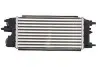 Інтеркулер FORD B-MAX, ECOSPORT, FIESTA VI, KA+ III, TOURNEO COURIER B460, TRANSIT COURIER B460 1.4D/1.5D/1.6D 06.08 Thermotec (DAG018TT) зображення 2