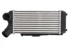 Інтеркулер FORD C-MAX II, GRAND C-MAX 1.6D 12.10-06.19 Thermotec (DAG024TT) зображення 1