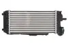 Інтеркулер FORD C-MAX II, GRAND C-MAX 1.6D 12.10-06.19 Thermotec (DAG024TT) зображення 2