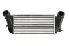 Інтеркулер FORD B-MAX, ECOSPORT, FIESTA VI, TOURNEO COURIER B460, TRANSIT COURIER B460 1.0 08.12 Thermotec (DAG027TT) зображення 1