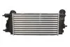 Інтеркулер FORD B-MAX, ECOSPORT, FIESTA VI, TOURNEO COURIER B460, TRANSIT COURIER B460 1.0 08.12 Thermotec (DAG027TT) зображення 2