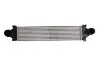 Фото Інтеркулер (без отвору під датчик) LAND ROVER FREELANDER 2 2.2D 10.06-10.14 Thermotec (DAI002TT) зображення 1