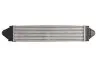 Фото Інтеркулер (без отвору під датчик) LAND ROVER FREELANDER 2 2.2D 10.06-10.14 Thermotec (DAI002TT) зображення 2