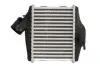 Фото Інтеркулер SMART FORTWO 0.8D 01.07 Thermotec (DAM027TT) зображення 2