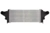 Інтеркулер MERCEDES GL (X164), M (W164), R (W251, V251) 3.0D/4.0D 07.05-12.14 Thermotec (DAM029TT) зображення 1