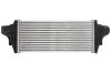 Інтеркулер MERCEDES GL (X164), M (W164), R (W251, V251) 3.0D/4.0D 07.05-12.14 Thermotec (DAM029TT) зображення 2