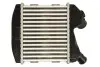 Фото Інтеркулер SMART CABRIO, CITY-COUPE, FORTWO 0.8D 11.99-01.07 Thermotec (DAM031TT) зображення 2