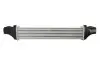 Фото Інтеркулер MERCEDES CLS (C219), E T-MODEL (S211), E (VF211), E (W211) 2.1D/3.0D 03.03-12.10 Thermotec (DAM035TT) зображення 2