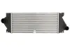 Фото Інтеркулер MERCEDES M (W163) 2.7D/3.2 02.98-06.05 Thermotec (DAM037TT) зображення 1