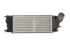 Інтеркулер CITROEN C5 III PEUGEOT 407, 508, 508 I 2.0D/2.0DH 02.08 Thermotec (DAP005TT) зображення 2