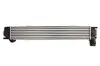 Інтеркулер RENAULT GRAND SCENIC III, MEGANE, MEGANE III, SCENIC III 2.0/2.0D 11.08-09.16 Thermotec (DAR022TT) зображення 2