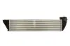 Фото Інтеркулер RENAULT ESPACE IV, LAGUNA II, VEL SATIS 1.9D/2.0D/2.2D 06.02-12.15 Thermotec (DAR024TT) зображення 2