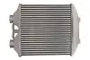 Інтеркулер SEAT IBIZA III 1.8/1.9D 01.04-02.08 Thermotec (DAT003TT) зображення 2