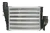 Інтеркулер CITROEN JUMPY III, SPACETOURER OPEL VIVARO C, ZAFIRA LIFE PEUGEOT EXPERT, TRAVELLER TOYOTA PROACE, PROACE VERSO 1.5D/1.6D/2.0D 02.16 Thermotec (DAX042TT) зображення 1