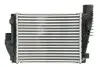 Інтеркулер CITROEN JUMPY III, SPACETOURER OPEL VIVARO C, ZAFIRA LIFE PEUGEOT EXPERT, TRAVELLER TOYOTA PROACE, PROACE VERSO 1.5D/1.6D/2.0D 02.16 Thermotec (DAX042TT) зображення 2
