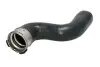 Шланг інтеркулера NISSAN JUKE, NV200, NV200 / EVALIA, PULSAR, QASHQAI I, QASHQAI II 1.5D 01.10 Thermotec (DC1002TT) зображення 1