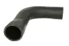 Фото Шланг інтеркулера Лів (Верх) NISSAN QASHQAI I, QASHQAI II 1.5D 11.06 Thermotec (DC1006TT) зображення 1