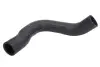 Фото Шланг інтеркулера Прав NISSAN QASHQAI I 2.0D 02.07-12.13 Thermotec (DC1110TT) зображення 1