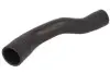 Фото Автозапчасть Thermotec (DC1505TT) изображение 1