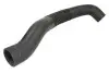 Фото Автозапчасть Thermotec (DC5007TT) изображение 1