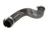 Шланг інтеркулера Лів AUDI Q5 2.0D 11.08-05.17 Thermotec (DCA017TT) зображення 1