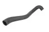 Шланг інтеркулера (Впускна сторона) BMW 3 (E46) 2.0D 02.98-05.05 Thermotec (DCB023TT) зображення 1