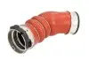 Фото Шланг інтеркулера Прав BMW X5 (E70) 3.0D 10.08-07.13 Thermotec (DCB102TT) зображення 1