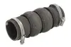 Шланг інтеркулера CITROEN C3 II, DS3 PEUGEOT 208, 208 I 1.4D 11.09-12.19 Thermotec (DCC056TT) зображення 1