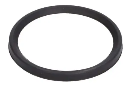 Ущільнювач патрубка інтеркулера RENAULT FLUENCE, MEGANE III, MEGANE IV, SCENIC III, SCENIC IV, TALISMAN 1.5D/1.6D 11.08 Thermotec DCC079TT Купити в Україні