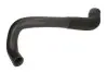 Шланг інтеркулера ALFA ROMEO 147, 156, GT 1.9D 04.01-09.10 Thermotec (DCF053TT) зображення 1